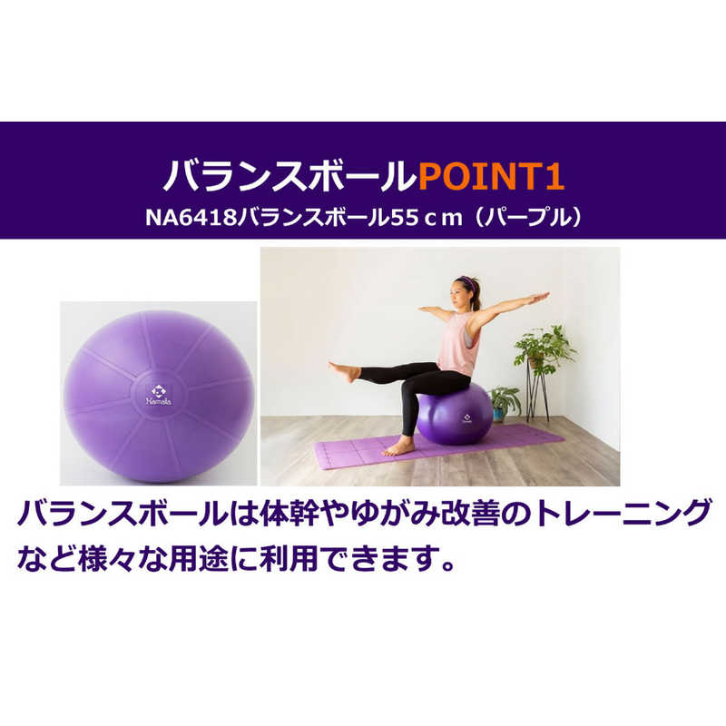 ナニワ　バランスボール55cm(約直径55cm/パープル) パープル　NA6418