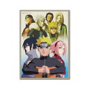 ゼネラルステッカー ダイカットビニールステッカー NARUTO-ナルト- 疾風伝 キービジュアル01 NRT011(2)