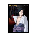 ゼネラルステッカー ダイカットビニールステッカー NARUTO-ナルト- 疾風伝 キービジュアル03 NRT013