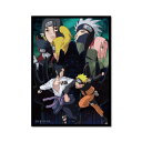 ゼネラルステッカー ダイカットビニールステッカー NARUTO-ナルト- 疾風伝 キービジュアル04 NRT014