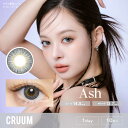 ティーガーデン (度あり/-4.75) クルーム アッシュ 10枚入 1day (ワンデー) カラコン(2)
