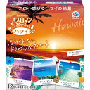 アース製薬 バスロマン 旅するハワイ 12包入(4種類×3包)