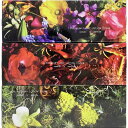 河野製紙 FULL BLOOM Cライトローション200組3パック