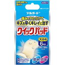 阿蘇製薬 デルガード クイックパッド 大きめ 6枚