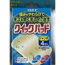 阿蘇製薬 デルガード クイックパッド ジャンボサイズ 4枚