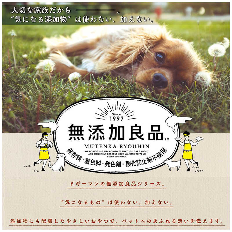 サンプル画像3