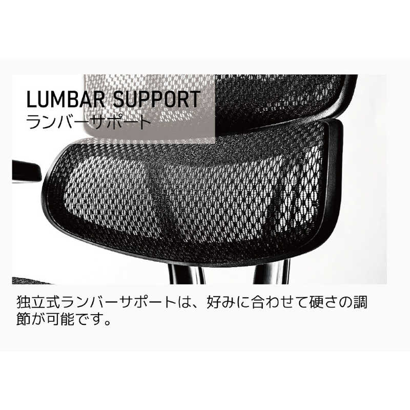 関家具 エルゴヒューマン Ergohuman 新基盤モデル エルゴヒューマン2 プロハイタイプ グレーフレーム EHP2-HAM-DR-GF-BK ブラック 445411 [2]