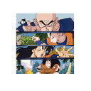 スモールプラネット アウトドアステッカー ドラゴンボールZ 修業 TE1272