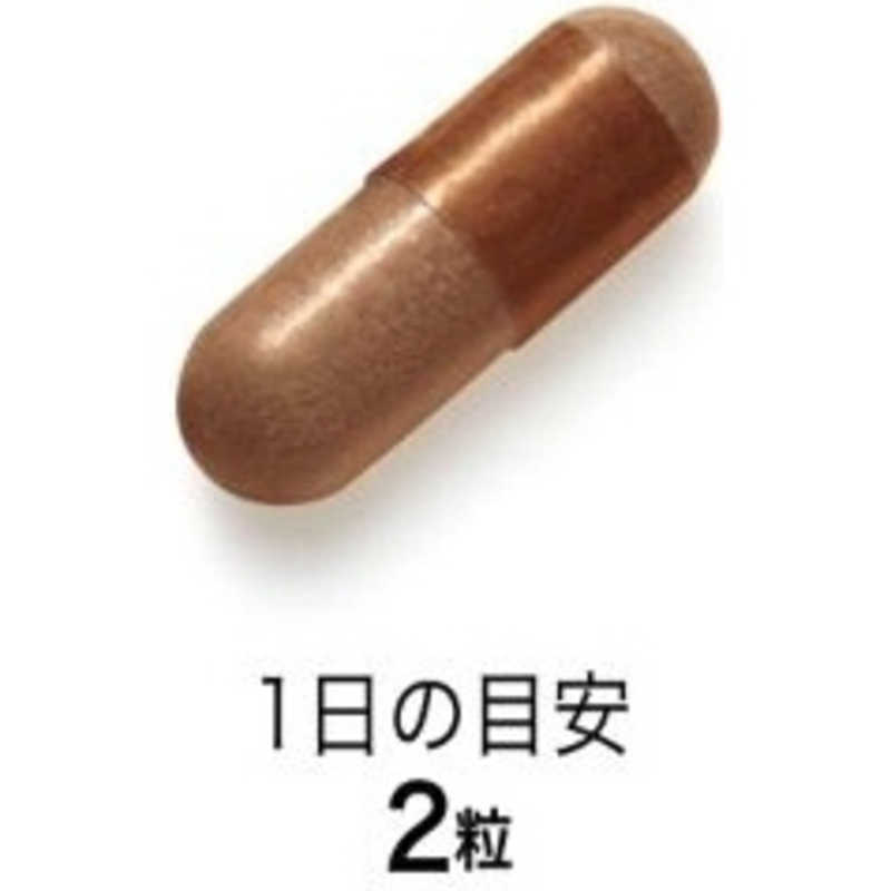 ファンケル　レスベラトロール 30日分 (60粒) 〔栄養補助食品〕 r-kojima-11585600 コジマ楽天市場店 サンプル画像2