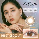 アイセイ (度あり/-8.00) エバーカラーワンデールクアージュ フォギーショコラ (BC8.7/ DIA14.5) 10枚入 カラコン