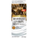 ホーユー ビゲン 泡クリームカラー 2N ブライトブラウン ビゲン