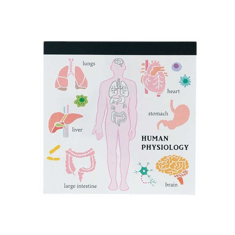 GREENFLASH　STUDYHOLIC メモパッド・スクエア 人類生物学 GreenFlash　ST-164