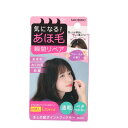 粧美堂 まとめ髪ポイントフィクサー ミニ