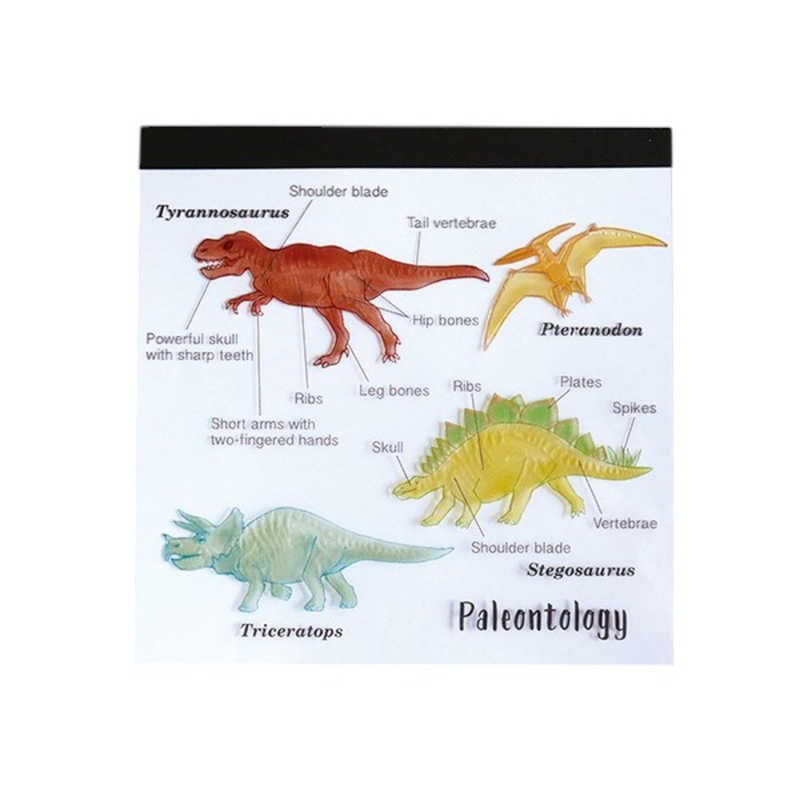 GREENFLASH　STUDYHOLIC メモパッド・スクエア 古生物学 GreenFlash　ST-002