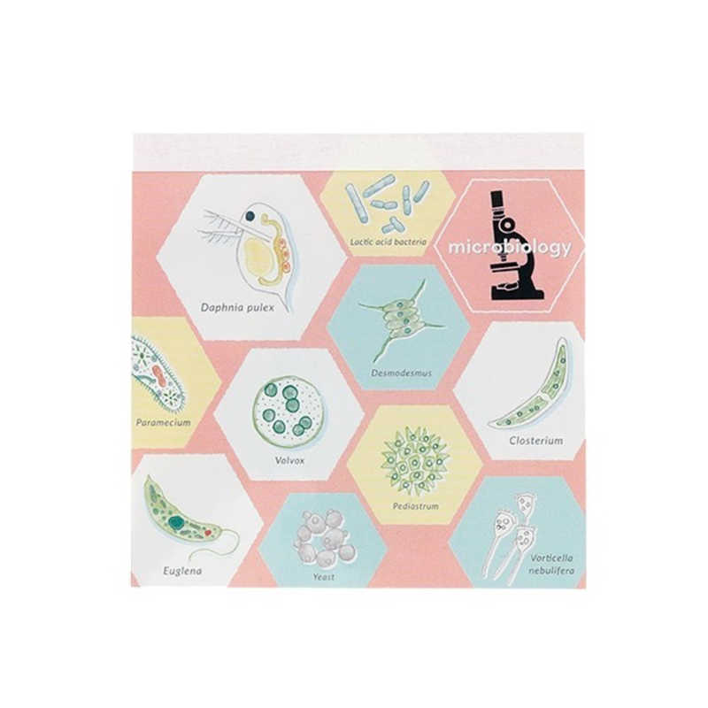 GREENFLASH　STUDYHOLIC メモパッド・スクエア 微生物学 GreenFlash　ST-163