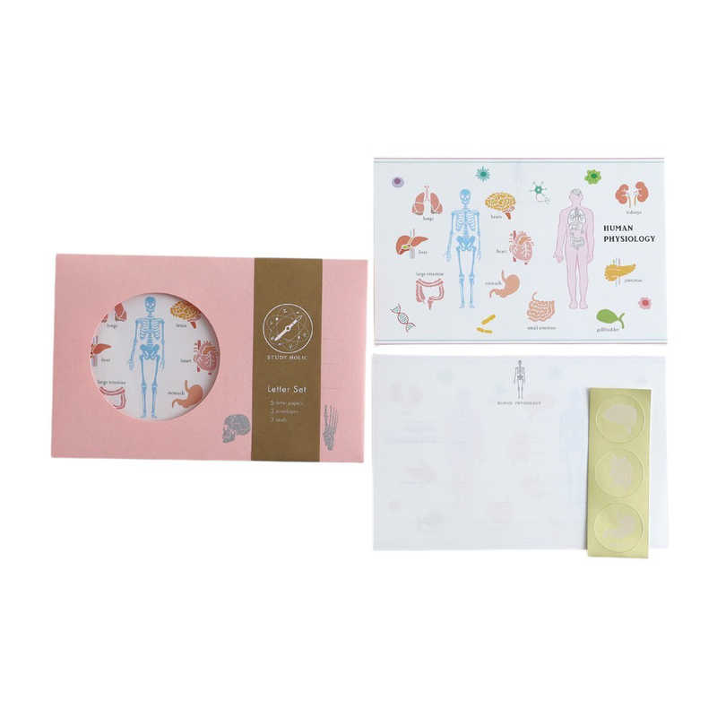 GREENFLASH　STUDYHOLIC レターセット 人類生物学 GreenFlash　ST-262