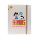サンスター文具 (限定)ゴムバンド付クリアファイル5P+F PNCS2 アイボリー S2174383
