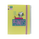 サンスター文具 (限定)ゴムバンド付クリアファイル5P+F PNCS2 イエロー S2174391