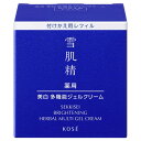 コーセー 雪肌精 薬用 ブライトニング マルチジェル 付け替え用