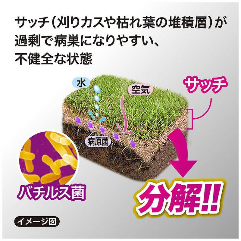レインボー薬品　レインボーシバキープpro芝生のサッチ分解剤1.5kg　2058347