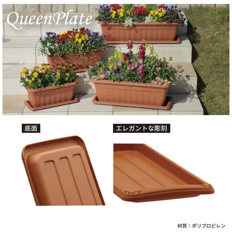 ���åץ륦����������������ץ졼�� 350�� �֥饦�󡡥�������ץ졼��350����