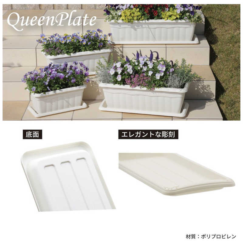 ���åץ륦����������������ץ졼�� 650�� �ۥ磻�ȡ���������ץ졼��650����