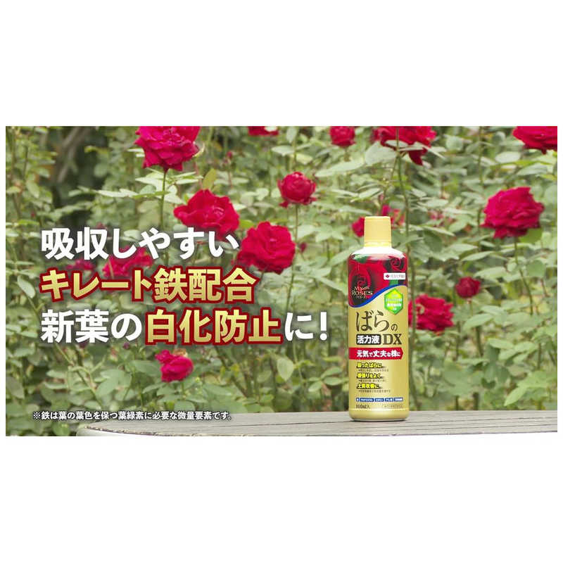 KINCHO園芸　マイローズ ばらの活力液DX 800ml　マイローズバラノカツリョクエキDX