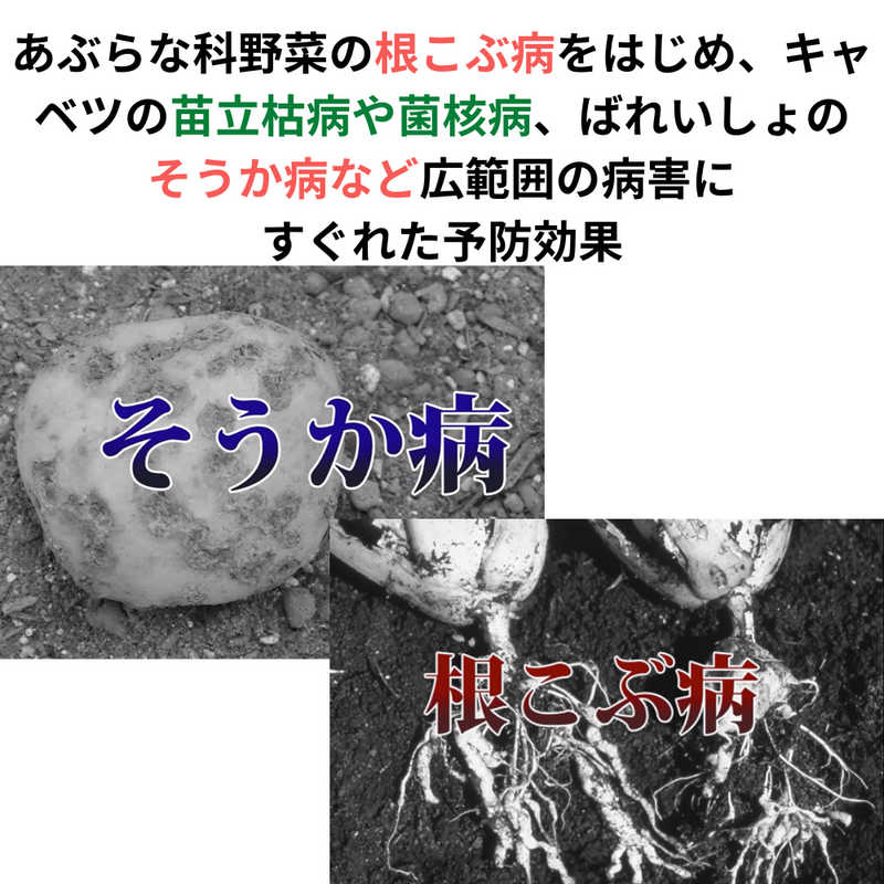 KINCHO園芸　石原フロンサイド粉剤 700g 殺菌剤 (旧 住友化学園芸)　2055189