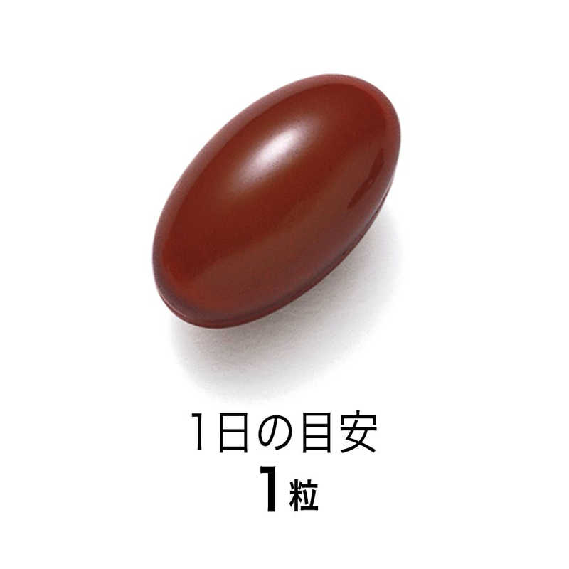 ファンケル　FANCL（ファンケル） マルチビタミン 90日分 （3袋セット ） 栄養補助食品 r-kojima-10892256 コジマ楽天市場店 サンプル画像2