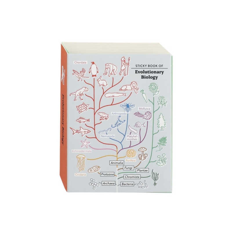 GREENFLASH　STUDY HOLIC スティッキーブック 進化生物学 GreenFlash　ST-319