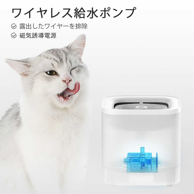 サンプル画像2