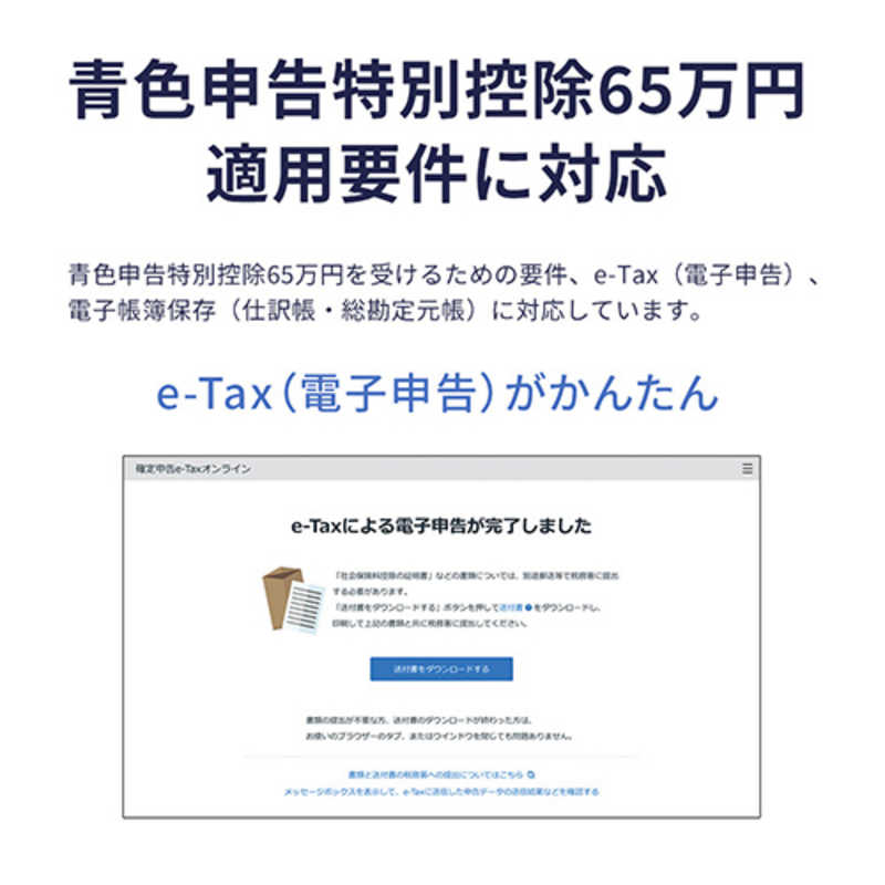 弥生　やよいの青色申告 26 通常版 令和7年分確定申告対応　YUAV0001
