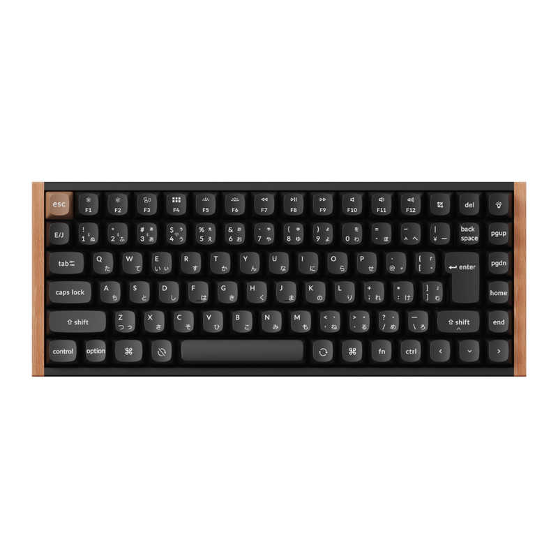 キークロン キーボード K2 HE - Special Edition- ブラック K2H-F1-JIS