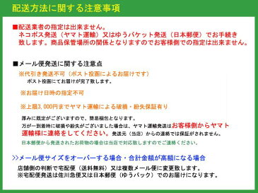 メール便送料無料【おもしろUSBメモリ16GB/肉球タイプ】ホワイト/ブラック/ブラウン/ピンク　高速USB2.0転送（USBフラッシュメモリ 猫の手 動物 アニマル にゃんこ ねこ）[usb0011z-161]