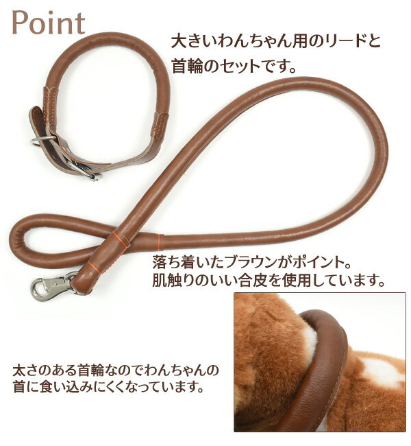 【大型犬用　散歩用リード＆首輪セット】ブラウンカラー 合皮 食い込みにくい 大型犬種用 大きいワンちゃん用 太めタイプ レトリバー シベリアンハスキー バーニーズ・マウンテン・ドッグ セントバーナード 秋田犬 持ち手太め 首輪サイズ45〜57cm お出かけ イヌ いぬ
