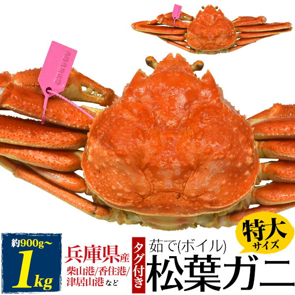 送料無料 釜茹で松葉ガニ 1杯 約900g～1kg ボイル済み 産地 ズワイガニ マツバガニ カニ 蟹 かに ボイ..