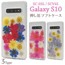 送料無料 Galaxy S10 SC-03L SCV41 押し花ケース ギャラクシー エス テン docomo ドコモ Samsung サムスン SC 03L sc03l au エーユー スマホケース スマホカバー バックケース バックカバー 背面保護 おしゃれ シンプル ドライフラワー 押し花 メール便