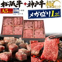 送料無料 A5ランク 松阪牛 神戸牛 極4点セット 合計1.2kg 牛肉 冷凍便 クール 和牛 贅沢 ギフト 高級 国産 贈り物 証明書付き セット バーベキュ...