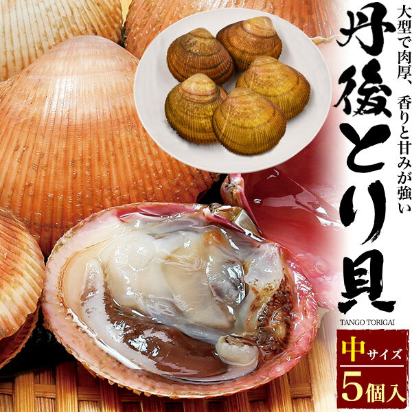 送料無料 高級食材 丹後 とり貝 中サイズ(130～149g) 生きたまま出荷 殻付き トリガイ 鳥 ...