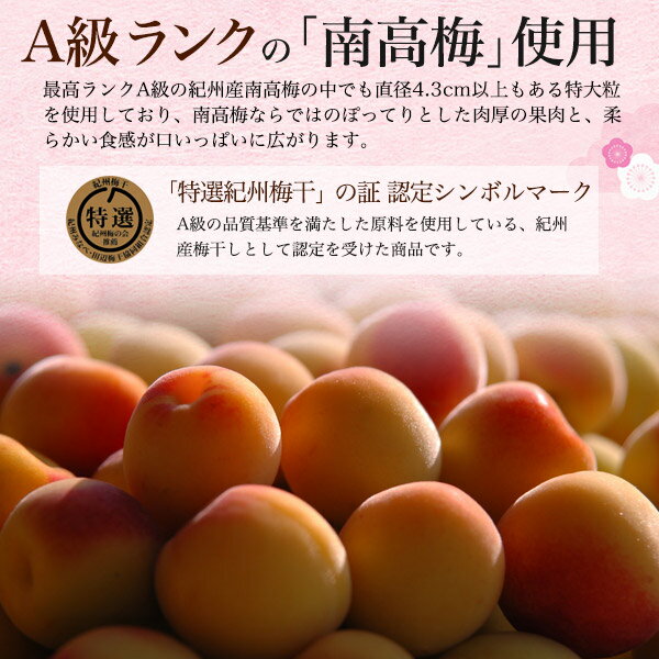 季節のご挨拶 送料無料 紀州南高 完熟 梅干し 心 12粒 10％ 個包装 国産 高級 中田食品 和歌山 うめぼし ギフト プレゼント 贈り物 熨斗 のし 常温 贈答用 退院 祝い 法事 内祝い かわいい おしゃれ 贈答 出産 結婚 引き出物 香典返し お土産 手土産