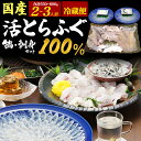 送料無料 未冷凍 国産 とらふぐ 鍋 刺身 セット 2〜3人前 新鮮 冷蔵便 さばいて出荷 てっさ てっちり フグ ふぐ ふぐ刺し トラフグ 鍋セット 高級魚 ...