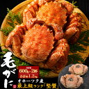 2杯セット 送料無料 冷凍 北海道 オホーツク産 最高級毛ガニ 堅蟹 約600g 2杯セット 姿 2匹 カニ味噌 カニ身 ボイル済み 茹で 急速冷凍 熨斗可能 のし 内祝い 御祝 贈答 箱入り ギフト プレゼント ご馳走 ご褒美 贅沢 プチ贅沢 おうちごはん 蟹 かに 直送3