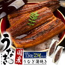 2尾セット 送料無料 うなぎ 蒲焼 国産 120～130g うなぎの蒲焼き ウナギ ギフト 2尾 2匹 国内産 鰻 かば焼き おばあちゃん おじいちゃ..