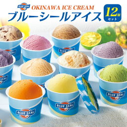 送料無料 沖縄 ブルーシールアイス 12個 セット アイスクリーム ギフト プレゼント 贈り物 お菓子 スイーツ 洋菓子 短冊のし 冷凍 贈答用 かわいい おしゃれ アソート ご当地アイス ご当地グルメ 沖縄限定フレーバー アイスセット 直送3