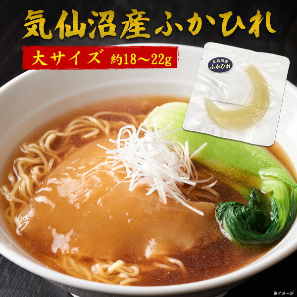 送料無料 気仙沼産 ふかひれ 腹びれ 大サイズ 約18〜22g 宮城県産 スープ ラーメン どんぶり トッピング お試しサイズ ミニサイズ 気仙..
