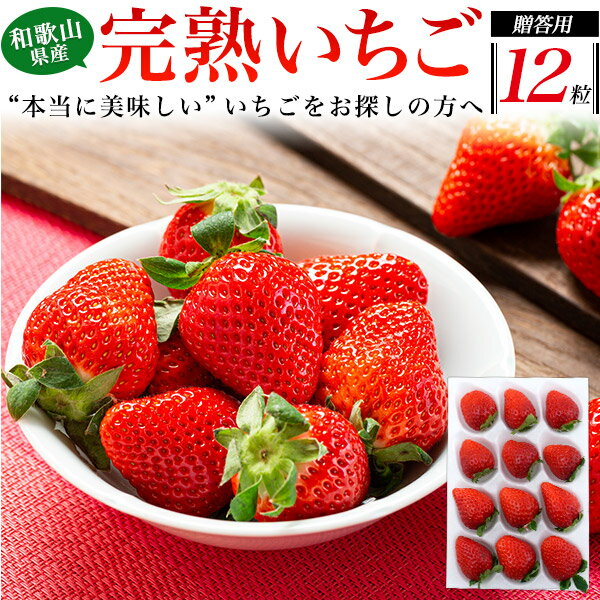 完熟 送料無料 高級いちご まりひめ 1パック12粒入り 和歌山県産 完熟いちご 秀品以上 贈答用 果物 いちご 苺 ギフト 箱入り セット 甘い 美味しい 贈答用 プレゼント 贈り物 熨斗可能 のし お祝い お返し 内祝 お礼 お取り寄せギフト お取り寄せグルメ 直送3