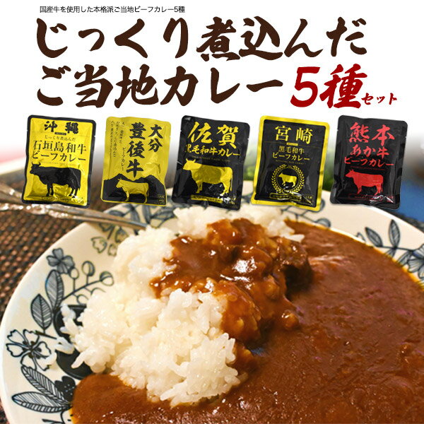 5種セット 送料無料 本格派 ご当地カレー 食べ比べ セット ビーフカレー 高級 レトルト食品 レトルトパウチ 贅沢 ご褒美 カレールー ごはん 夕食 常温 ストック 夕飯 おうちごはん 一人暮らし 単身 おかず 一品 便利 アソート レトルトカレー お試し 便利 メール便