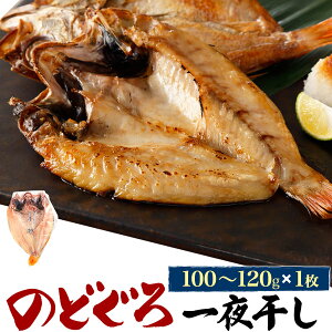 送料無料 のどぐろ干物 110g 1枚 ノドグロ ひもの 一夜干し ギフト プレゼント 贈答用 お祝い 内祝い のし 熨斗 高級 高級魚 魚 さかな 魚介 海鮮 山陰 浜田 お土産 手土産 お取り寄せグルメ 産直 おかず 夕飯 おつまみ 赤むつ アカムツ 酒の肴 直送3