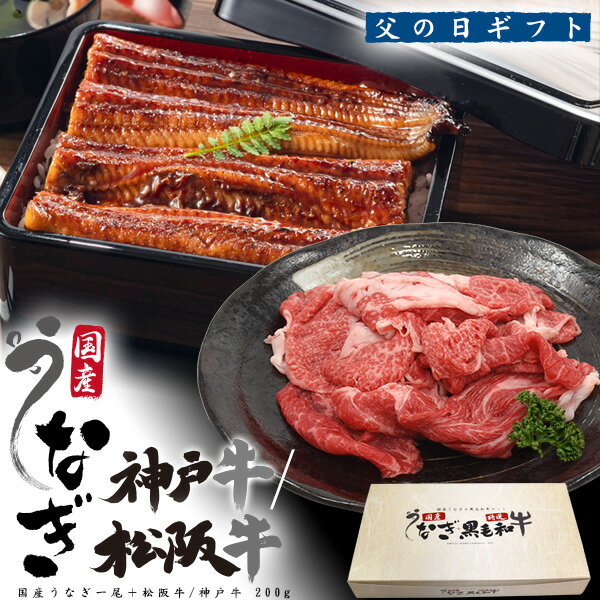 送料無料 国産 うな牛セット うなぎ ブランド牛 神戸牛 松阪牛 ギフトセット 父の日 プレゼント 