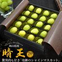 送料無料 岡山 シャインマスカット 晴王 粒 20粒入り m L LL ギフト 箱入り セット 大粒 高級 美味しい 果物 贈答用 プレゼント 贈り物 熨斗可能...
